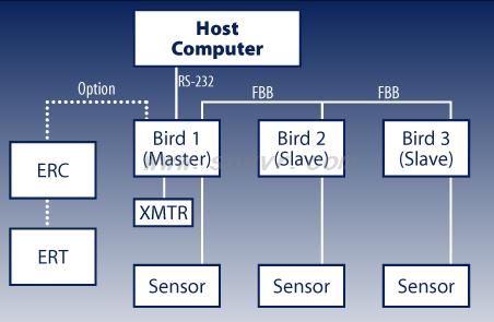 Example setup of Ascension Flock of Birds