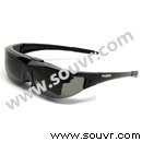 Vuzix Wrap 310 PDF下载资料-中文版